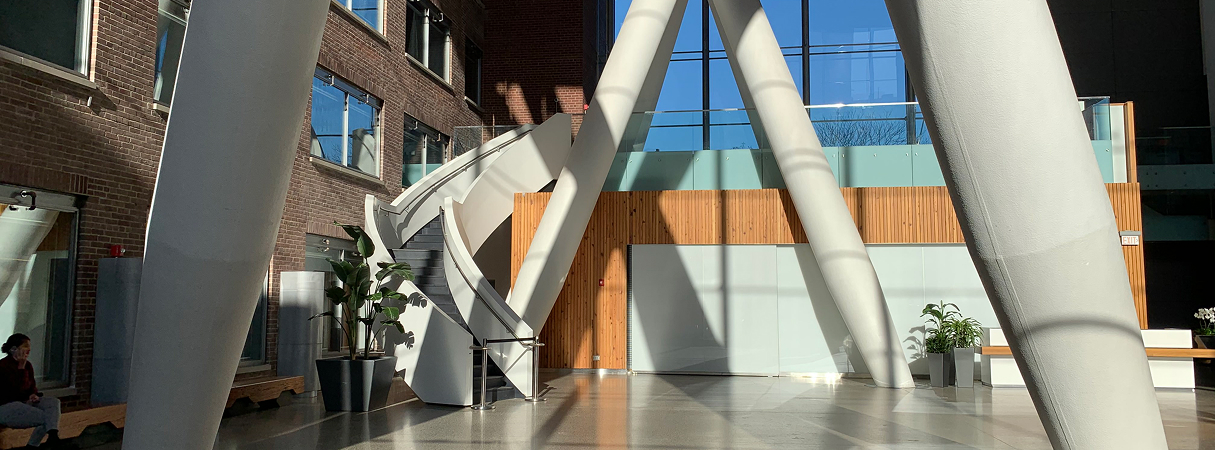 The Board of Directors Banner image